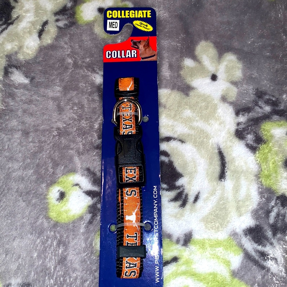 Texas longhorn collar